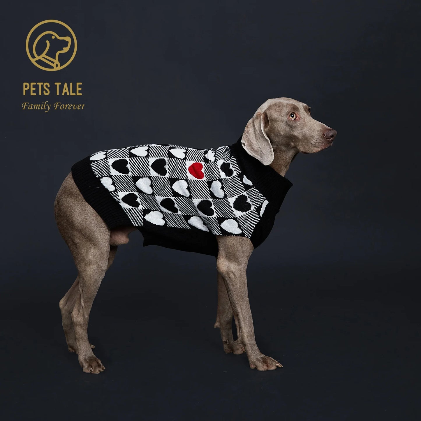 Buffalo Check Love-Heart Intarsia D-Ring Hole Dog Sweater