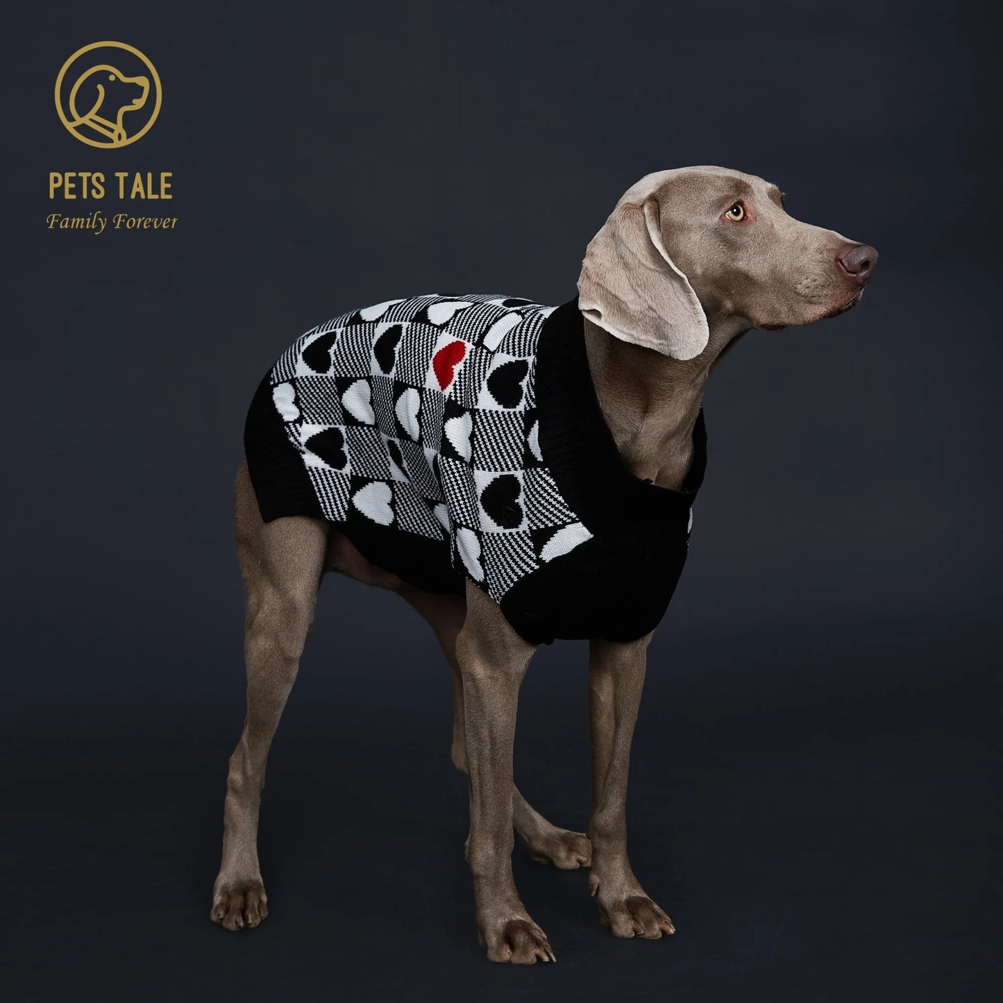 Buffalo Check Love-Heart Intarsia D-Ring Hole Dog Sweater