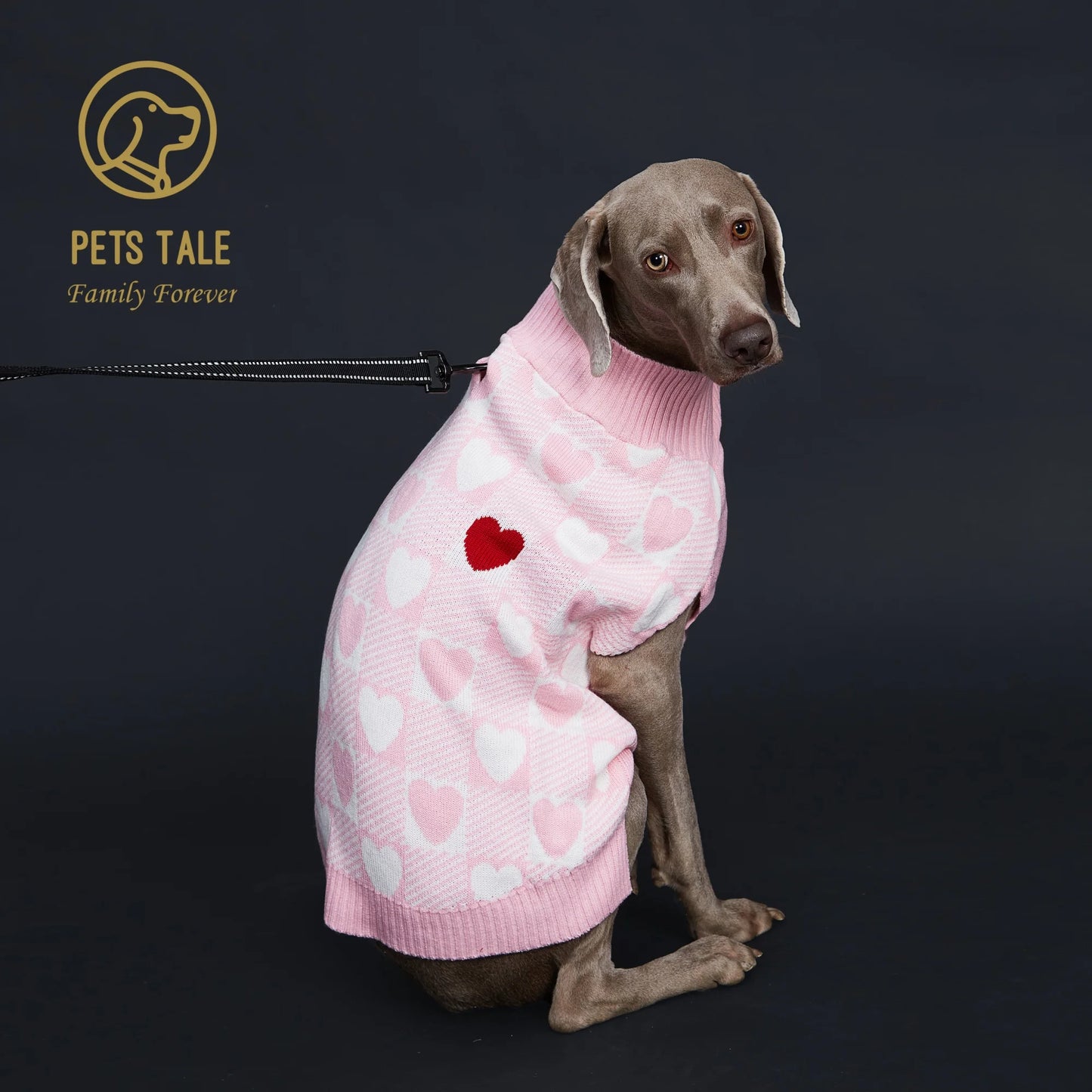 Buffalo Check Love-Heart Intarsia D-Ring Hole Dog Sweater