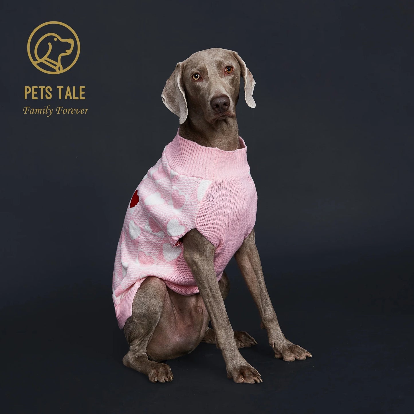 Buffalo Check Love-Heart Intarsia D-Ring Hole Dog Sweater